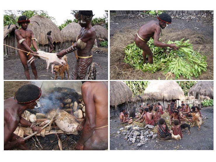Hog killing together with a smaller feast inside one of the houses in the Highlands of New Guinea. 